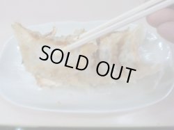 画像1: 【期間限定】【送料込み】風泉餃子 食べ比べセット